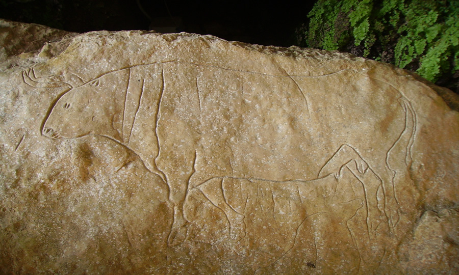 La grotta di Papasidero e il graffito del bue