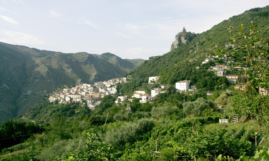 Buonvicino, Serapodolo e Madonna della Neve