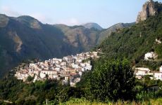 Buonvicino