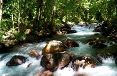 Valle dell'Argentino