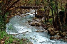 Valle dell'Argentino