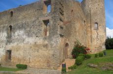 Museo del Cedro