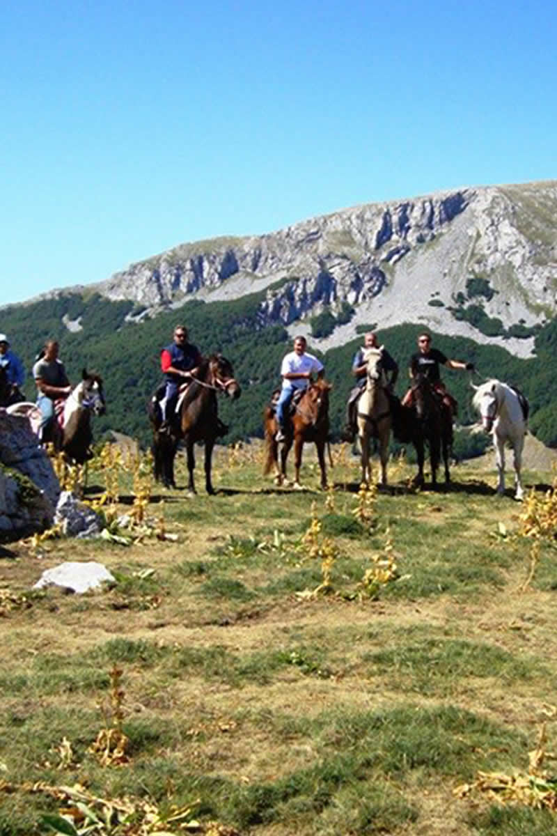 Passeggiate a Cavallo